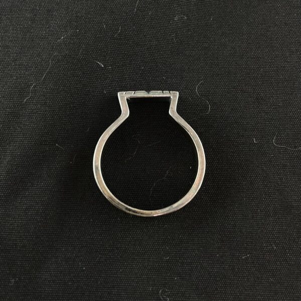 Anillo Seal - Imagen 3